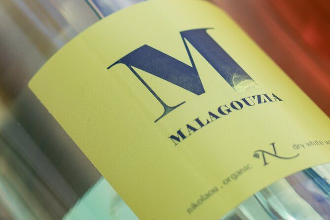 Organic and Vegan Indigenous Wine Tasting Private Experience - The pacing: tasting, notes, and what to remember later