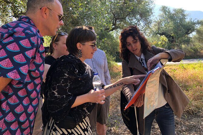 Organic Olive Grove tour & Olive oil tasting & lunch in Kalamata! - From Olive Grove Shade to the Mill Press: What the Tour Really Delivers