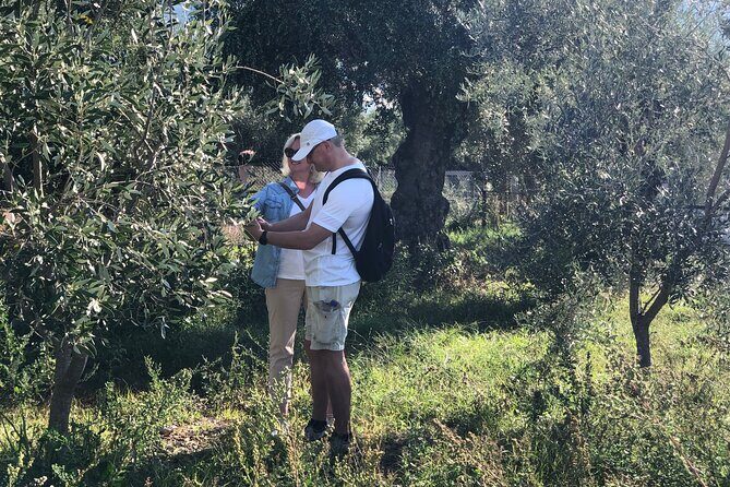 Organic Olive Grove tour & Olive oil tasting & lunch in Kalamata! - Should You Book This Organic Olive Grove and Olive Oil Tasting in Kalamata?