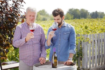 Organic Wine Tasting in Kefalonia - Getting to know Robola, Mavrodafni, and other local grapes