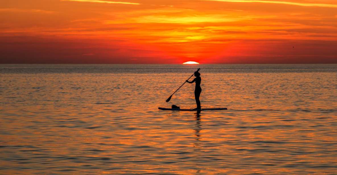 Paddle Board Rental: Glide on the Water with Ease - One hour between cliffs, coves, and beaches