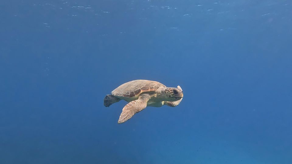 PADI Scuba Diving Program for Beginners in Peloponesse - Age, health, and who should book