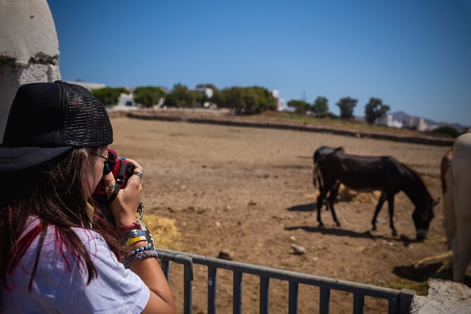 Panoramic Island Tour - Thirty minutes at the Mykonian Farm