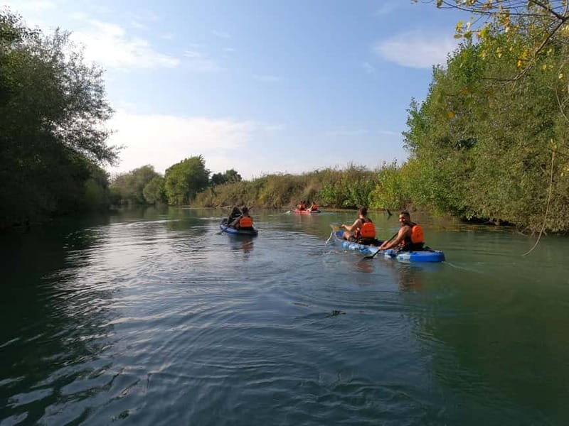 Parga: Acheron River Kayaking Adventure 5.5 km - Should You Book Dragonfly Kayak On The Acheron?