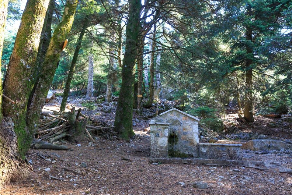 Parnitha (Parnis) / Skipiza & Mola loop - Hike near Athens - Why Parnitha makes a good Athens escape