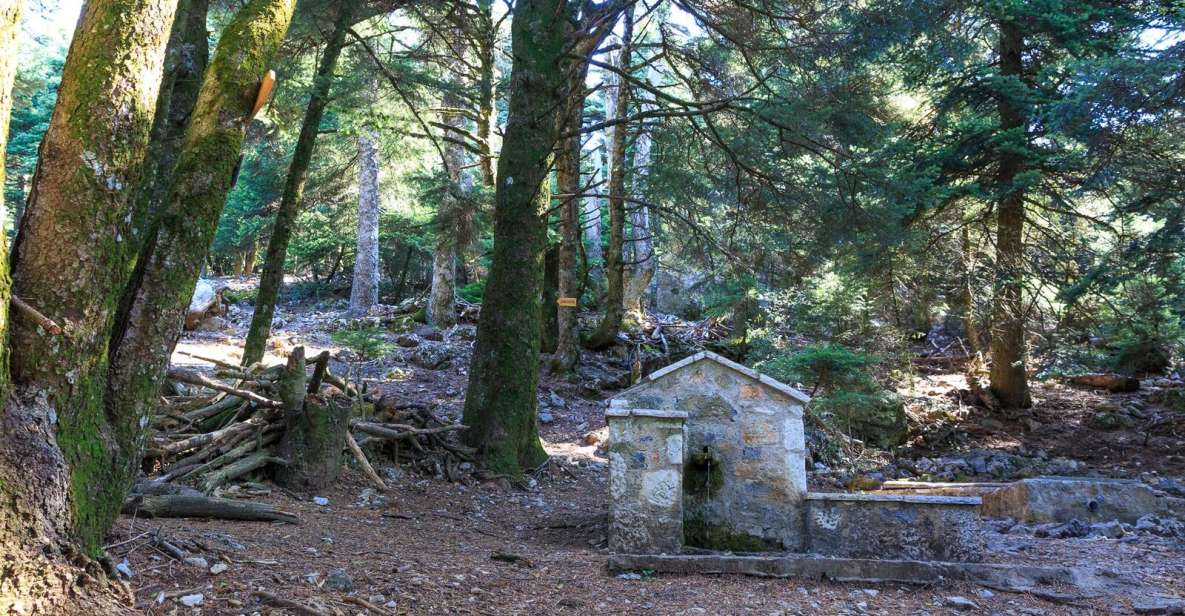 Parnitha (Parnis) / Skipiza & Mola loop - Hike near Athens - Walking to the Skipiza well