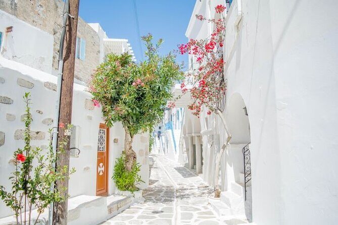 Paros & Antiparos Full-Day Discovery Guided Tour in English - Frankish Castle and Parikia Streets: Quick History Meets Easy Wandering