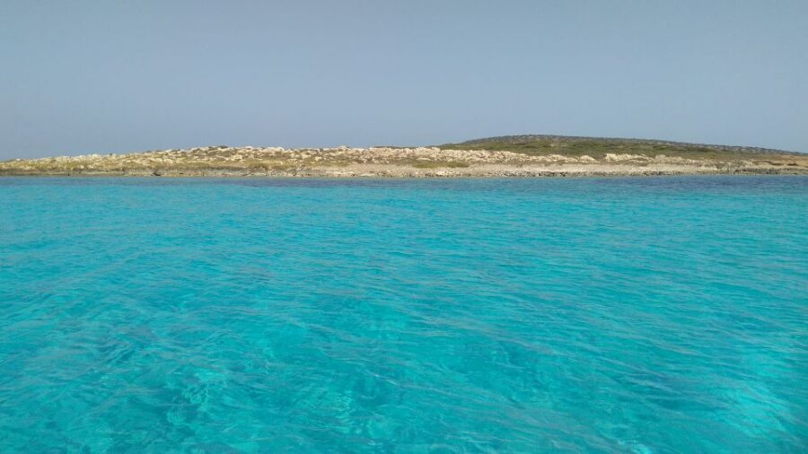 Paros: Antiparos Island and Despotiko Private Boat Trip - Key highlights you’ll care about