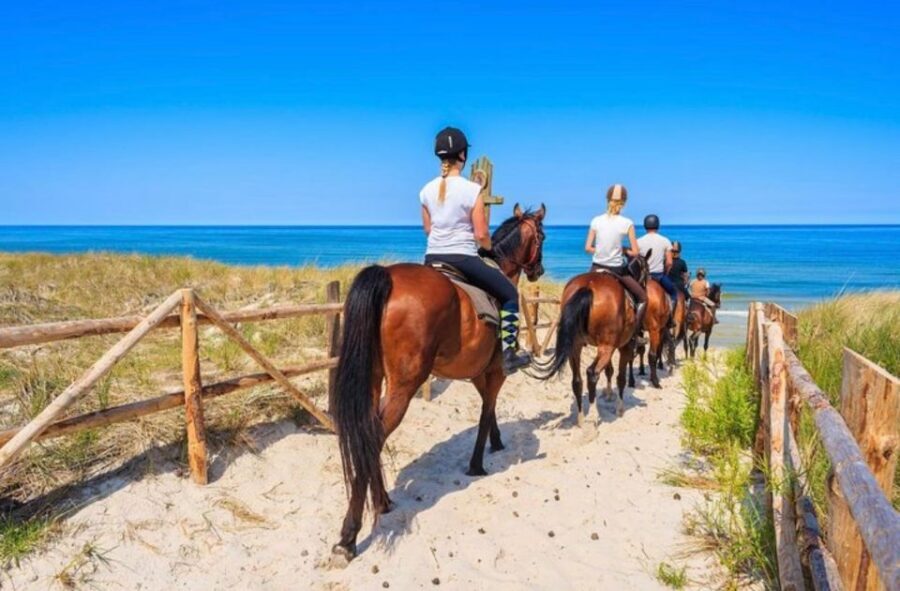 Paros: Morning Island Horseback Riding Adventure - Morning Starts in Paroikia: why this 9:00 a.m. ride works