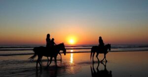Paros: Morning Island Horseback Riding Adventure - Meeting the team at Paros Horse Riding and Donkey Tours