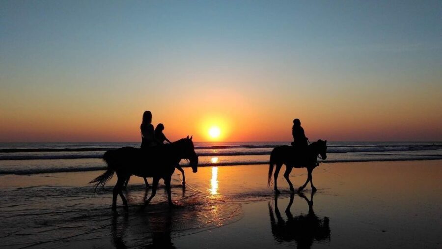 Paros: Morning Island Horseback Riding Adventure - What’s included: the snack, the hands-on help, and the end-of-ride wind-down