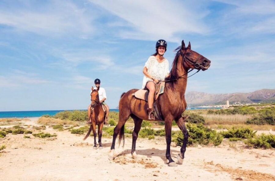 Paros: Morning Island Horseback Riding Adventure - Should you book this Paros morning horseback ride?