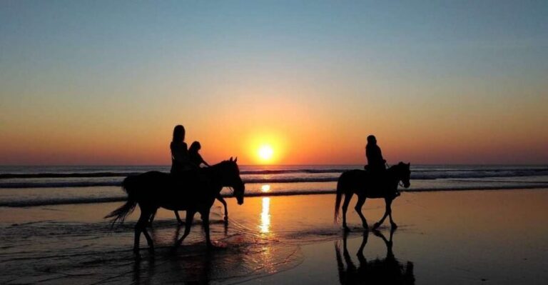 Paros: Morning Island Horseback Riding Adventure - Meeting the team at Paros Horse Riding and Donkey Tours