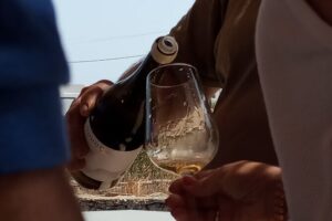 Paros Wine Tasting at a Local Winery - Inside the vines: why the setting matters on Paros