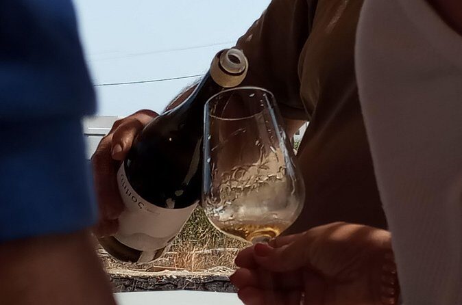 Paros Wine Tasting at a Local Winery - The tasting lineup: pet nat, two whites, rosé, and red