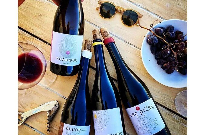 Paros Wine Tasting at a Local Winery - English-language tour: how to get the most out of it