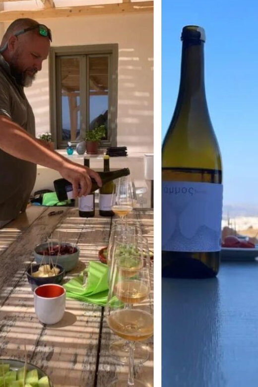 Paros: Wine tasting at Local Winery - Quick hits you’ll care about