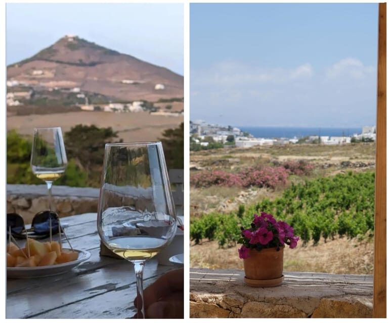 Paros: Wine tasting at Local Winery - Price and value: is $46 worth it?