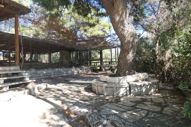 Philosophical Tour in Athens - Language, Tickets, and Where to Meet (So You Don’t Waste Time)