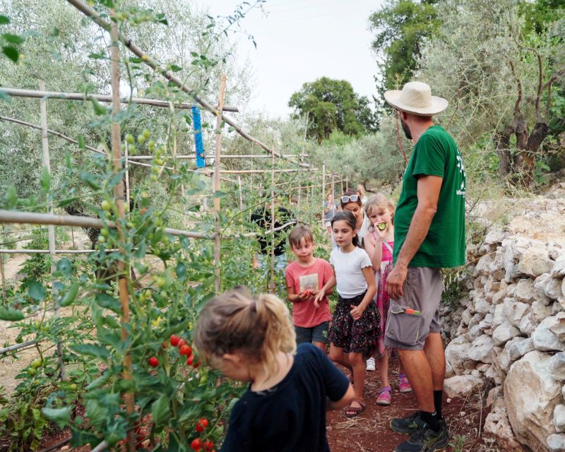 Phyllo Pie Baking Class @ Lefkada Micro Farm - Is $123 per person a fair price?