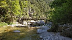 Pieria: Guided Hiking Tour in Enipeas Gorge of Mount Olympus - St. Dionysios Monastery in pine forests: a reason to slow down