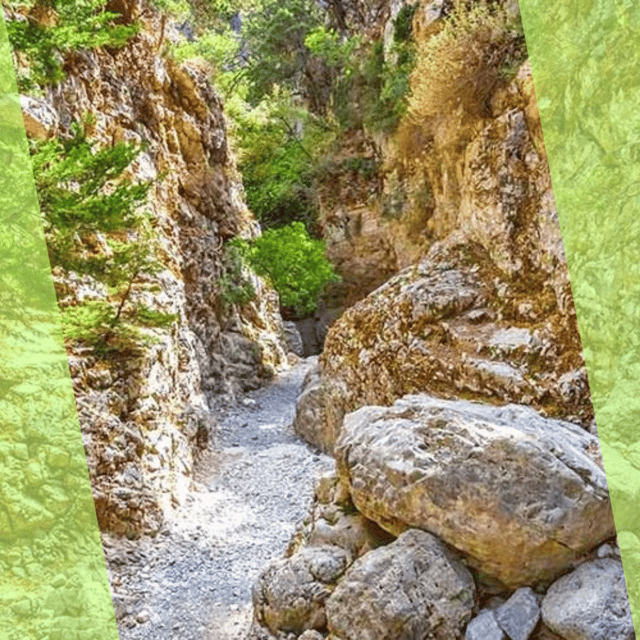 Platanias : Imbros Gorge Superb Hiking Tour - The day’s timing from pickup to return
