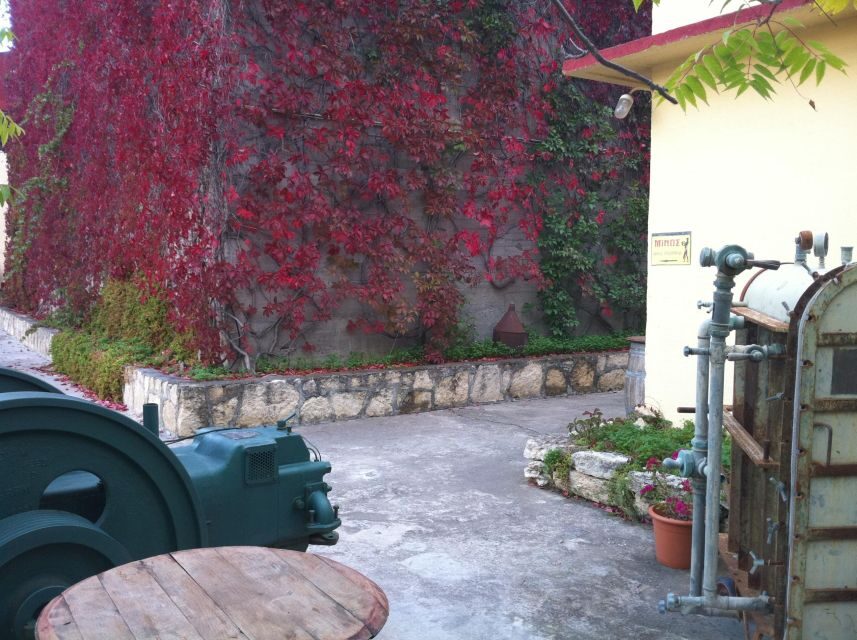Premium Crete Olive oil tasting, Wine, Raki and Cretan food! - Winery stop: six wine varieties with real guidance