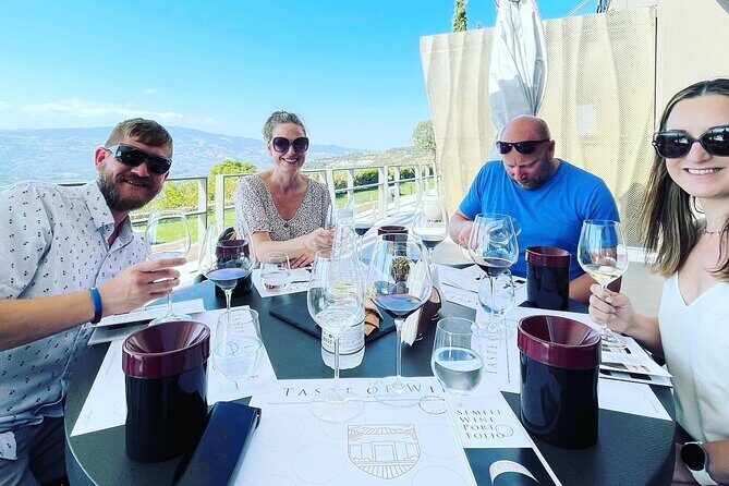 Premium Nemea Wine Tour from Athens, Nafplio or Nemea, with Oenologists - The Oenologist Guide Factor: Where the Magic Actually Comes From