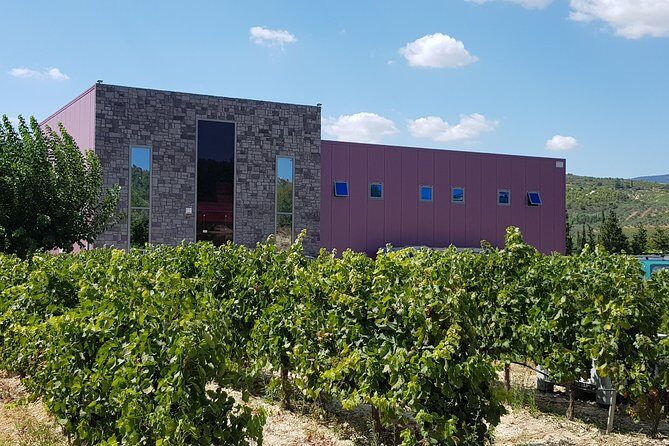 Premium Nemea Wine Tour from Athens, Nafplio or Nemea, with Oenologists - Who This Tour Suits Best (and Who Might Want Another Option)