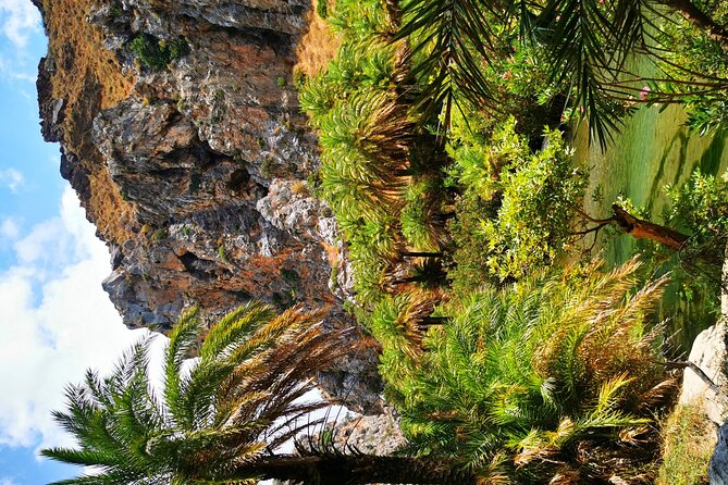 Preveli Beach & Palm Forest :Full-Day Tour with Lunch Box - Why Preveli Beach is worth the long ride