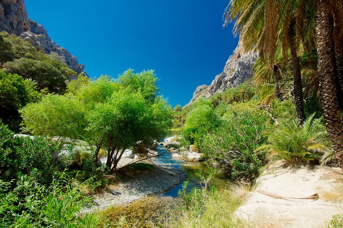 Preveli Beach & Palm Forest :Full-Day Tour with Lunch Box - Who should book this Crete day trip