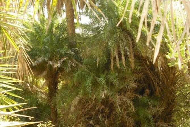 Preveli palm Beach & Damnoni Excursion - Practical planning for the day
