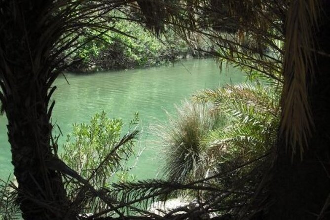 Preveli palm Beach & Damnoni Excursion - The free time works best for independent beach days
