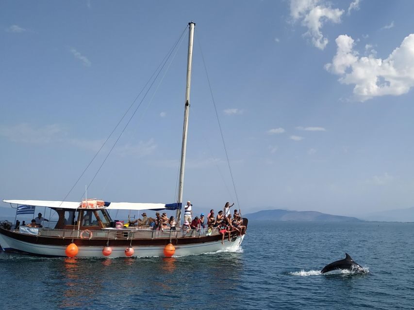 Preveza: Dolphin Watching Cruise with Lunch and Drinks - The Most Praised Parts You Should Expect to Matter