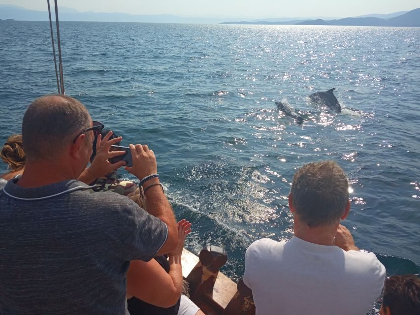 Preveza: Dolphin Watching Cruise with Lunch and Drinks - Should You Book This Preveza Dolphin Cruise?