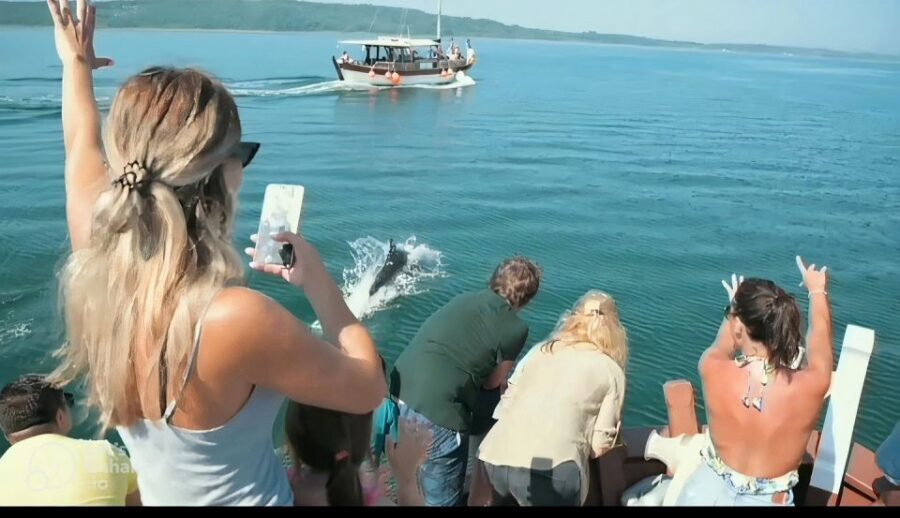 Preveza: Dolphin Watching Cruise with Lunch and Drinks - FAQ