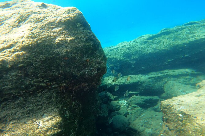 Private 1-Hour Guided Snorkeling Adventure with Go Pro Pictures - Starting at protected Panormos Beach