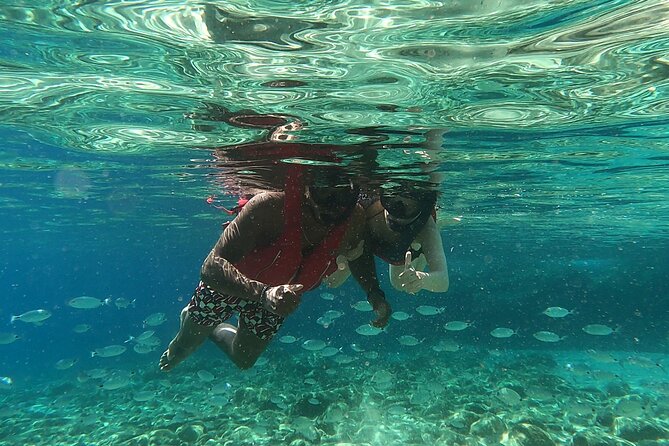 Private 1-Hour Guided Snorkeling Adventure with Go Pro Pictures - GoPro pictures without bringing your own camera