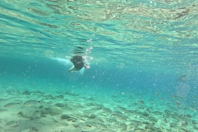 Private 1-Hour Guided Snorkeling Adventure with Go Pro Pictures - Why the private format matters at this price