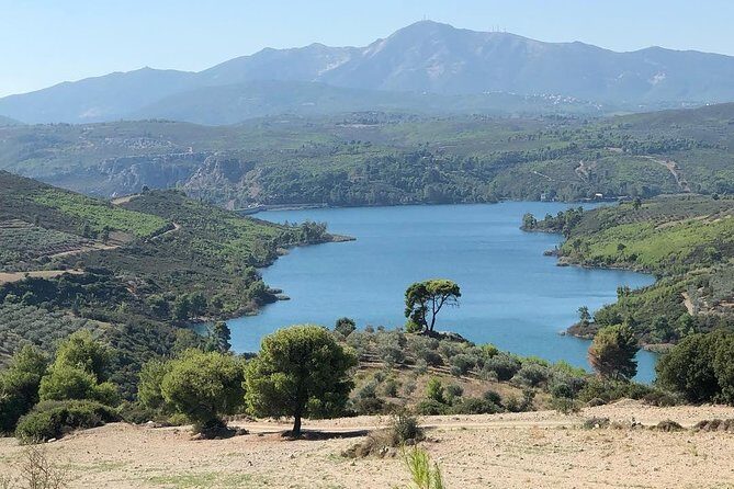 Private 4x4 Wine Tour from Athens to Marathon Lake and a Winery - From Athens Hotels to Off-Road Attica in One Smooth Start