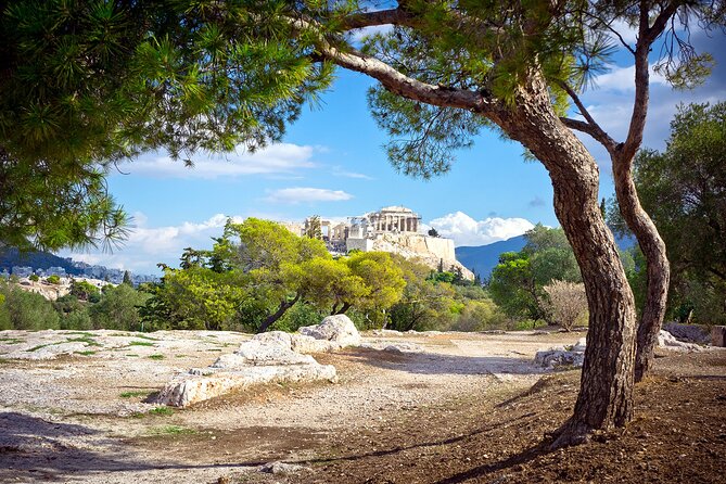 Private Acropolis & New Acropolis Museum for Families - Why this private Athens tour works for families