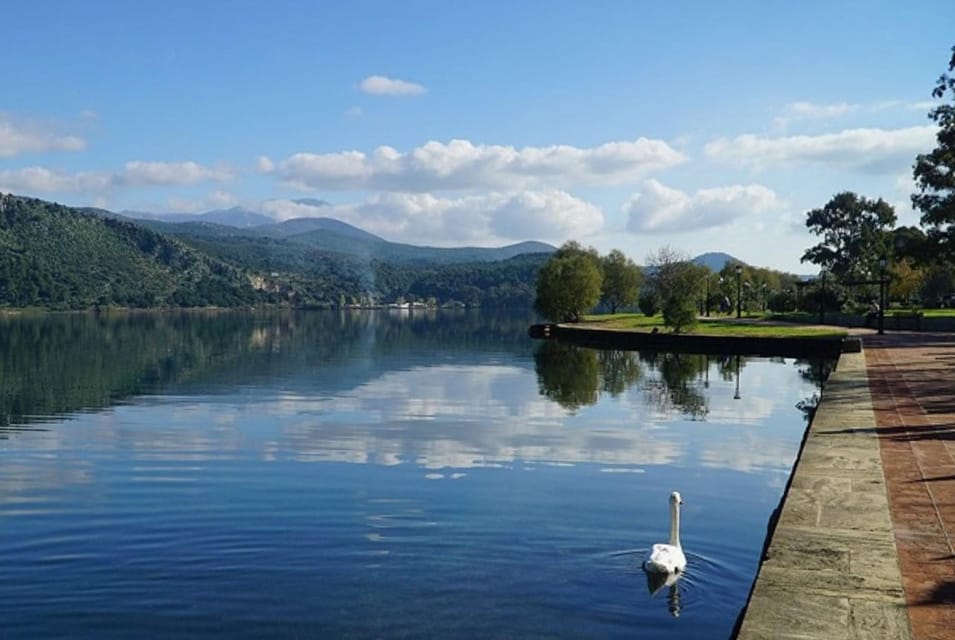 Private Argostoli Walking Experience - What the private format is really worth