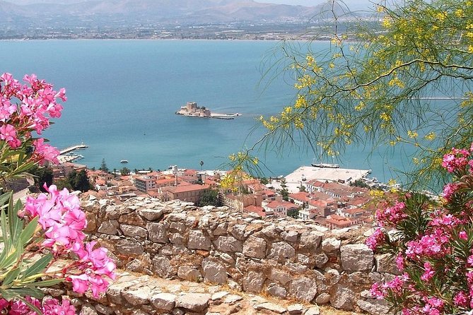 Private Athens to Mycenae & Nafplio Tour - The driver-guide arrangement