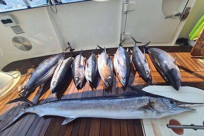 Private Boat and Fishing Tours in Greek Islands - Swimming, food, and time between activities