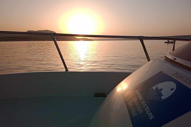 Private Boat Tours in Kalyves and East Coast - Sea-life moments you can actually remember: octopus and friends