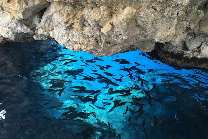 Private Corfu Tour- Glyfada & Paleokastritsa beach - Should You Book This Private Corfu Beach Tour?