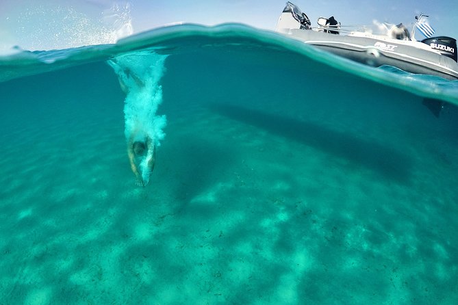 Private Cruise: PAROS – DELOS – RHENIA - MYKONOS - Food, Drinks, Towels, and Snorkeling Gear