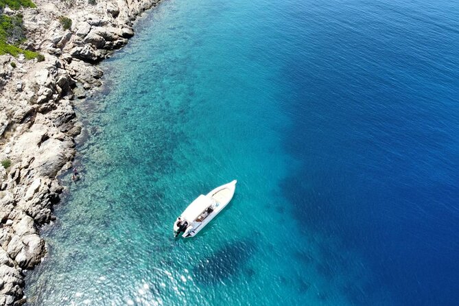 Private Cruise & Snorkeling Nea Makri, Marathon, Schinias, Rafina - Snorkeling gear and marine life
