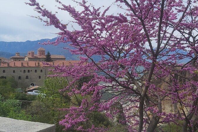 Private Day Trip from Thessaloniki to Meteora - Price and Value: What $600.12 Buys You