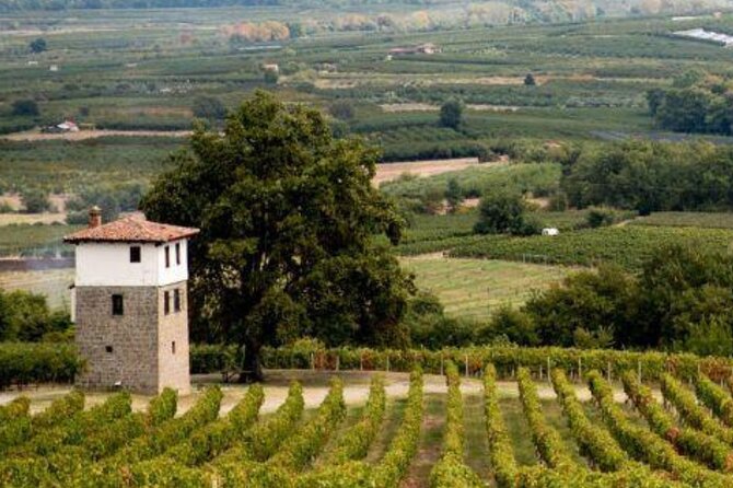 Private Day Trip from Thessaloniki to Vergina, Naousa, and Edessa - Is the $250.20 price good value?
